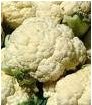 Cauliflower