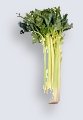 celery