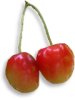 Cerises  maturit