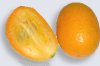 Kumquats  maturit