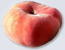 Pche plate