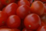 tomate