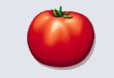 tomate