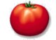 Tomate (mini)